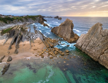 Bosques atlánticos frondosos