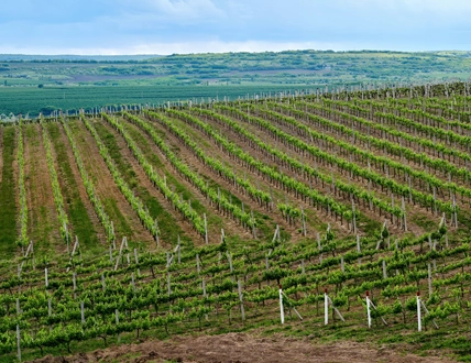 Horizontes de tierra castellana